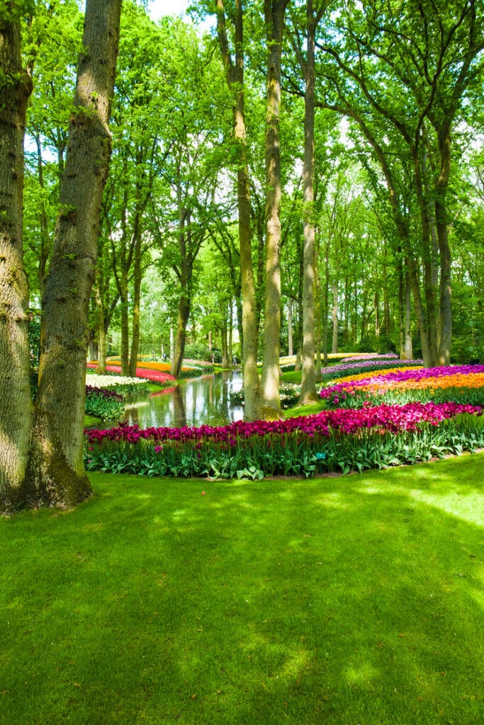 Keukenhof Gardens hollande